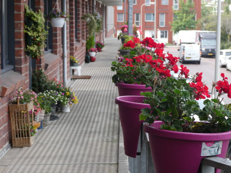 woongroep Kloosterveen Den Haag